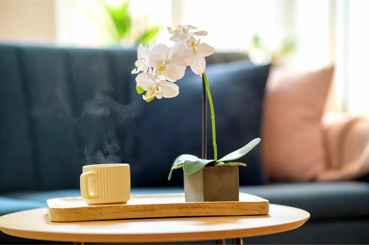 Psychotherapie in der Praxis von Dipl.-Psych. Silvia Schüler in Freiberg